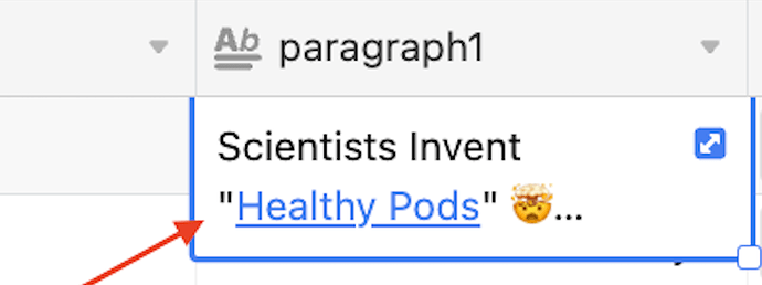 Airtable - Long Text with Hyperlink.png